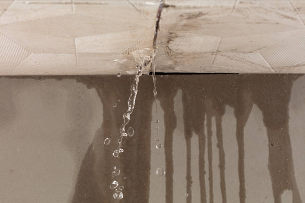 Professional Structural Drying technician working in Pantego, TX